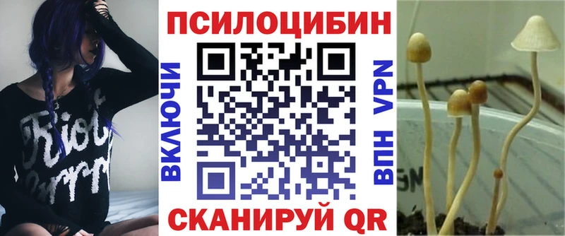 Купить  Билибино  Псилоцибиновые грибы MAGIC MUSHROOMS 
